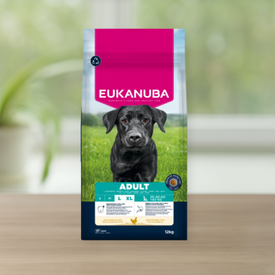 Eukanuba Adult Large Breed Chicken