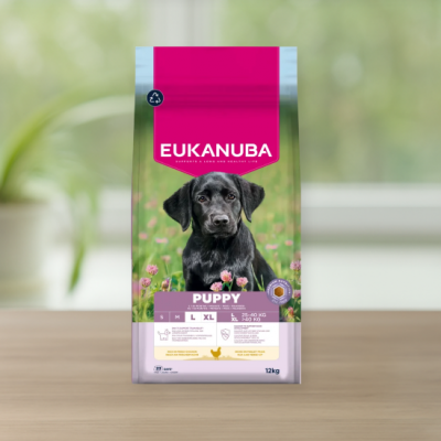Eukanuba Puppy Large Breed Chicken