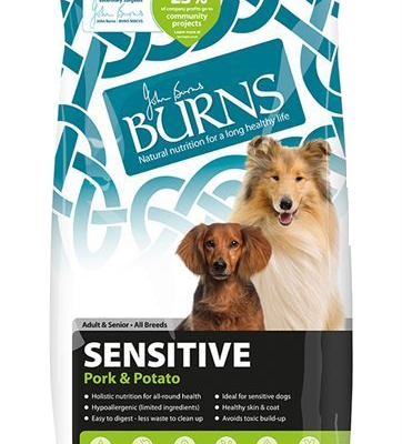 Burns Sensitive Adult Senior Dog Food Pork and Potato