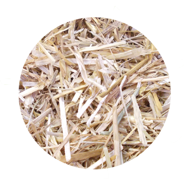 Wheat Straw Bedding Bedding For Horses And Other Animals Hawthorn