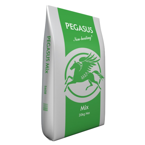 Pegasus Horse And Pony Mix Product Image