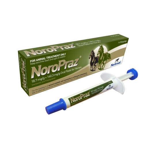 NoroPraz Oral Paste Horse Wormer Product Image