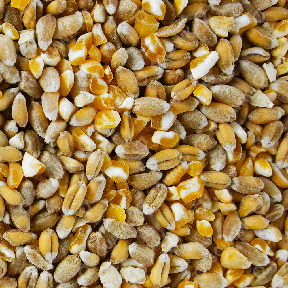 Mixed Poultry Corn Great Value Poultry Feed Hawthorn