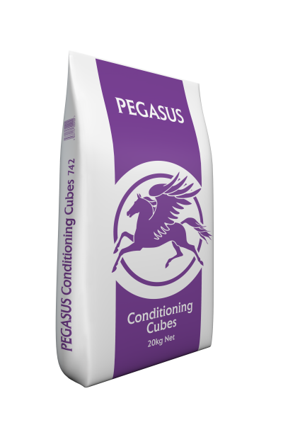Pegasus Horse & Pony Conditioning Cubes Product Image