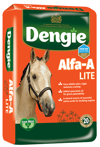 Dengie Alfa-A Lite Product Image