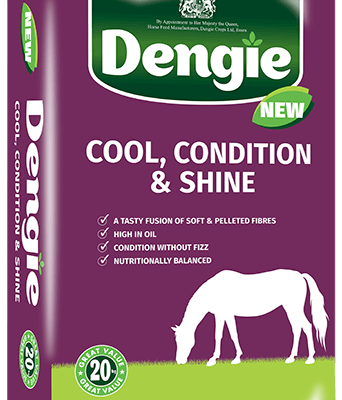 Dengie Cool, Condition & Shine Product Image