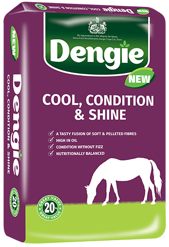 Dengie Cool, Condition & Shine Product Image