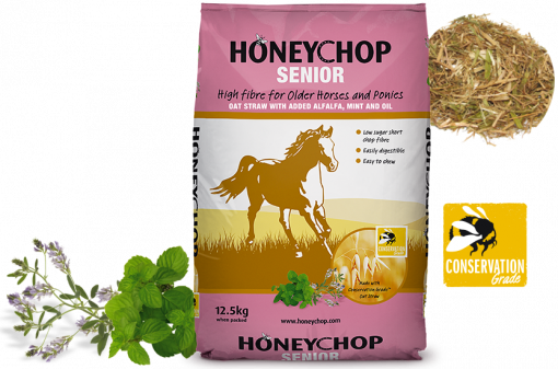 Honeychop Senior Marketing combination image
