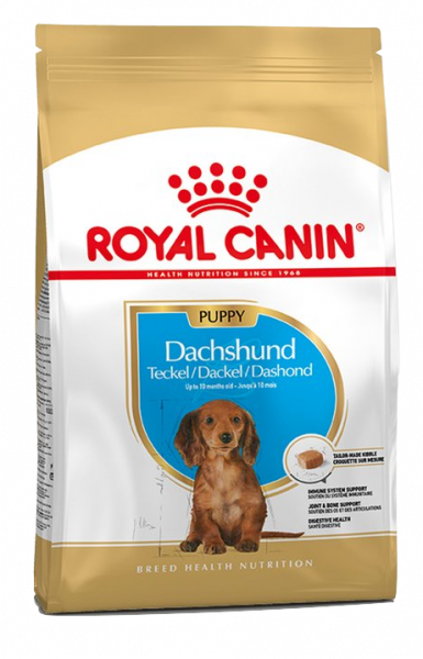 Royal Canin Dachshund Puppy Product Image