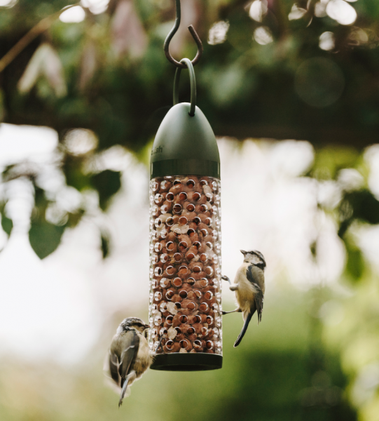 Premium Mess Free Wild Bird Food - Bucktons Seed Mix - Hawthorn