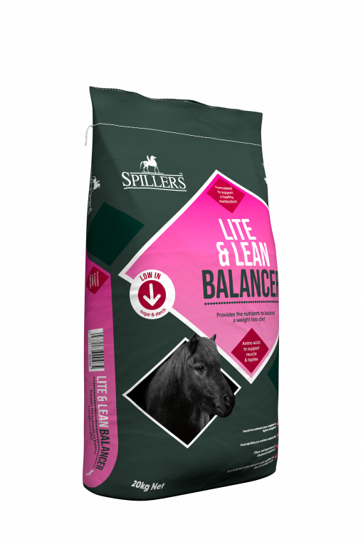 Spillers Lite & Lean Balancer
