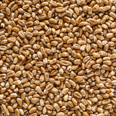 Castle Whole Wheat 25kg